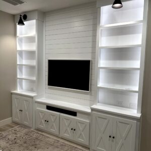 Wall Unit 1