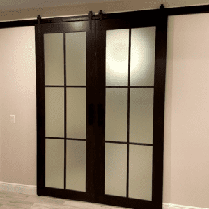 Seis Glass Panel Barndoor