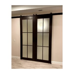 Seis Glass Panel Barndoor