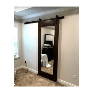 Single Panel Mirror Barndoor